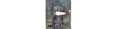 244. திருவோத்தூர்